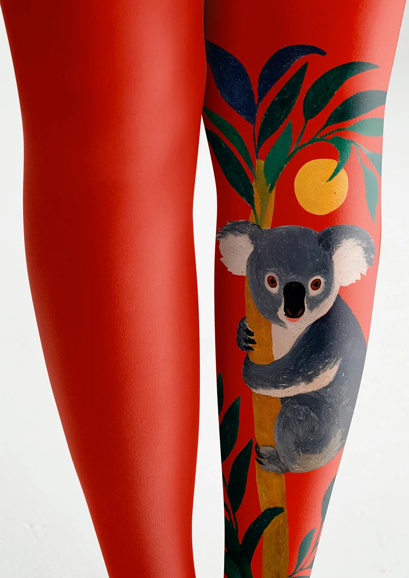 Koala Tights Hosiery Pantyhose