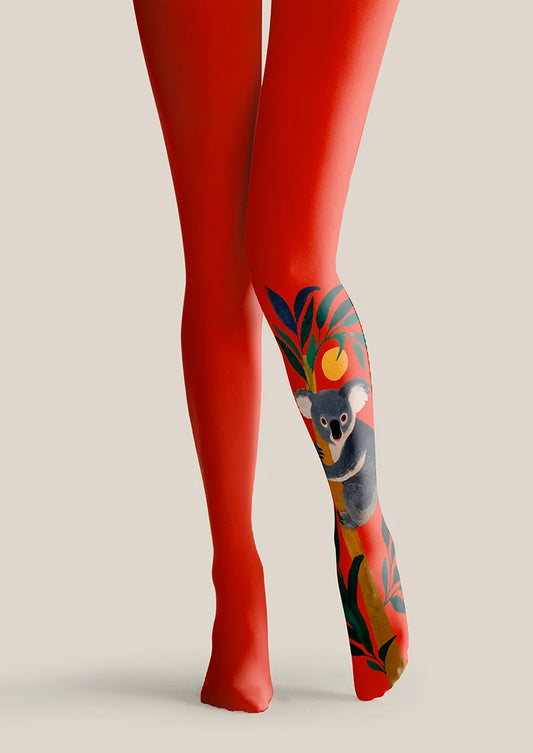 Koala Tights Hosiery Pantyhose