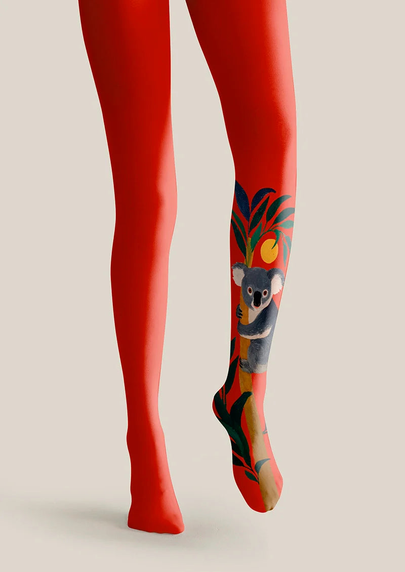 Koala Tights Hosiery Pantyhose